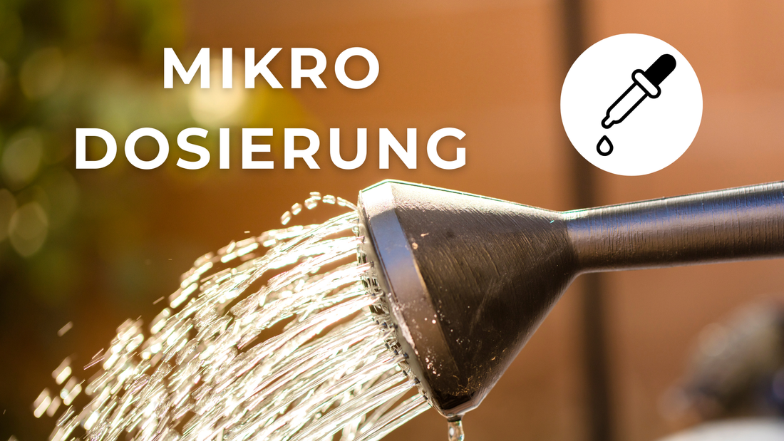 Fertigation: Die Zukunft der automatischen Gartenpflege (und warum du dafür keine Pumpe brauchst)