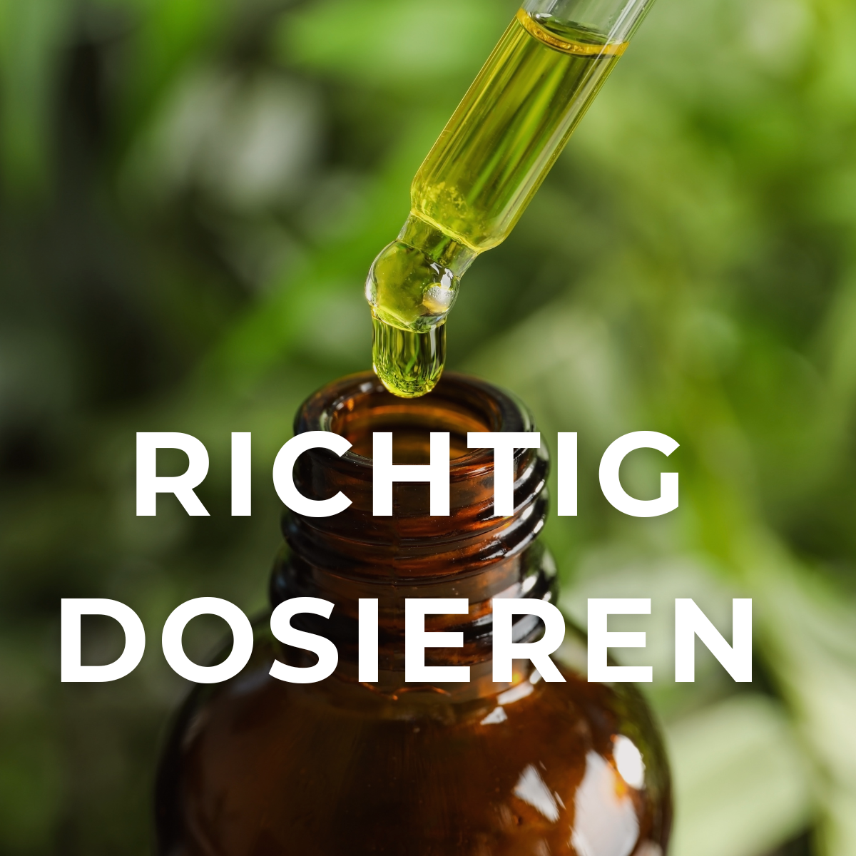 Tropfen aus einer Pipette
